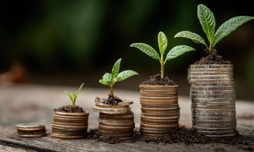 なぜ授権資本金が重要なのか？オフショア法人設計の基礎知識について学ぶ